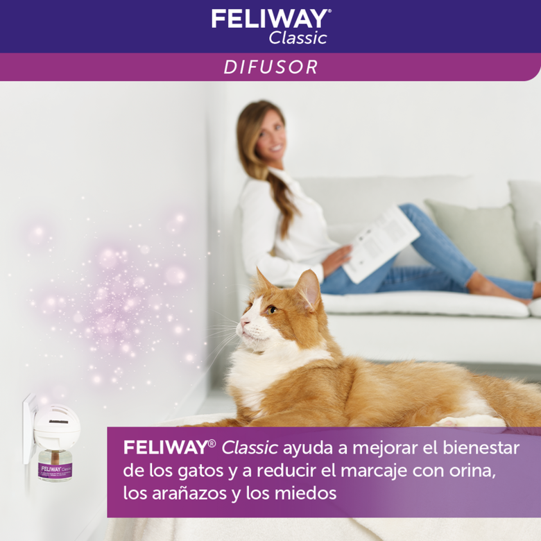 Feliway Classic Difusor y/o Recambio Tranquilizante para gatos thumbnail