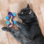 Kong Better Buzz Gecko peluche para gatos, , large indicador imagen numero 2