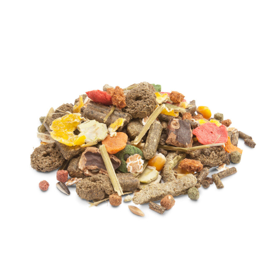 Versele Laga Crispy Muesli pienso para conejos, , large Imagen numero 2