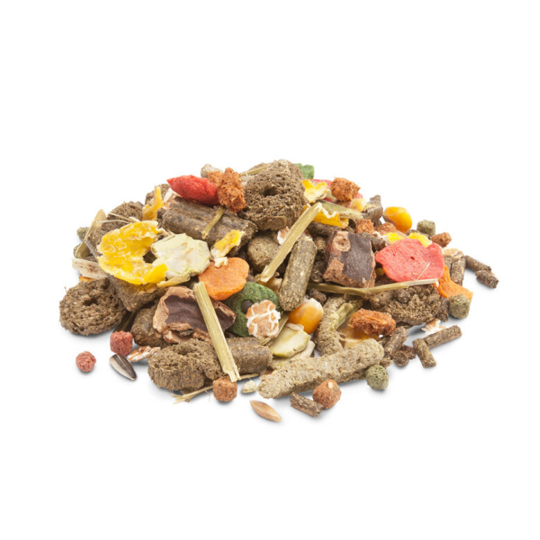 Versele Laga Crispy Muesli pienso para conejos,  Imagen numero 2 Versele Laga Crispy Muesli pienso para conejos, , large Imagen numero 2