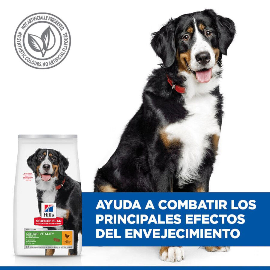 Hill&#039;s Science Plan Youthful vitality Large pienso para perros thumbnail