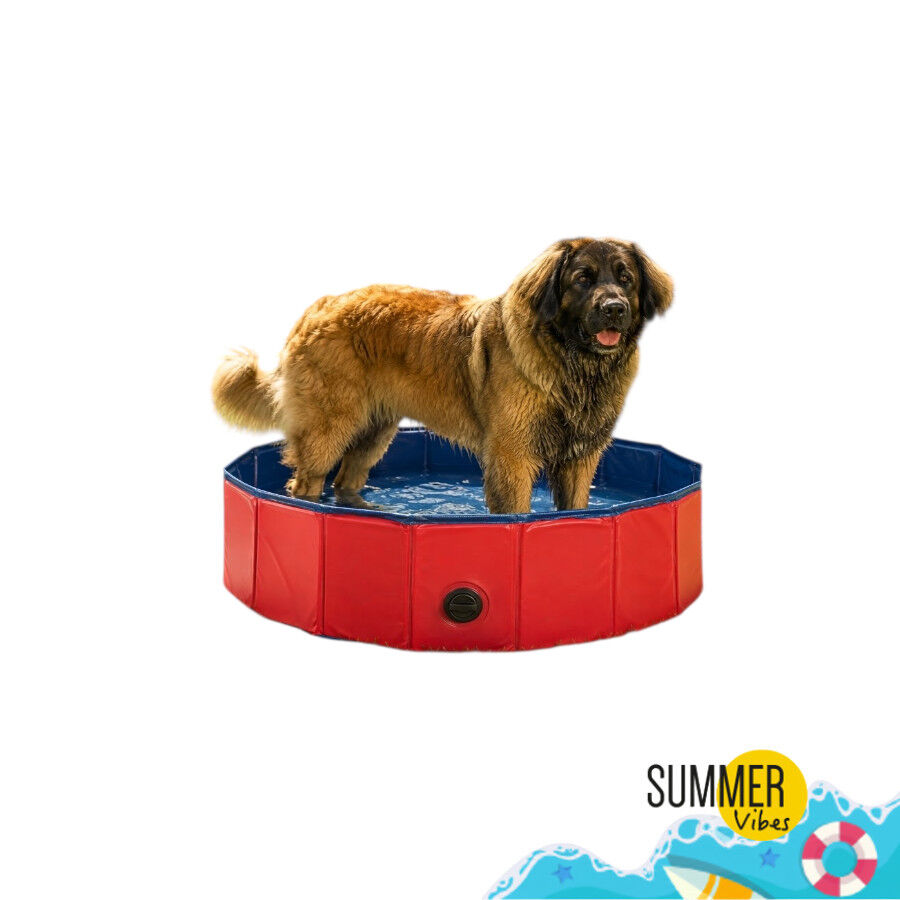Summer Vibes Piscina Roja para perros, , large Imagen numero 7