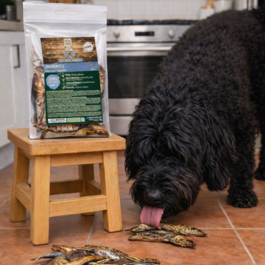 70 g. True Origins Boquer&oacute;n Snack para perros, , large Imagen numero 1