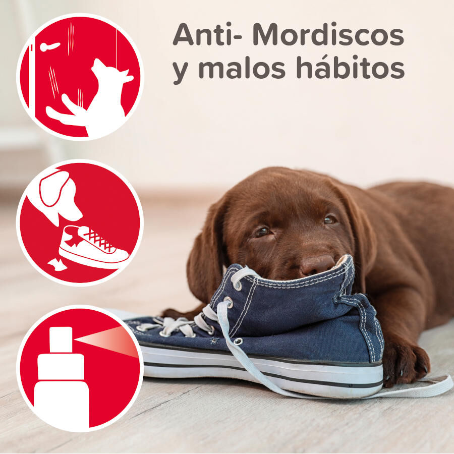 Beaphar Stop It Educador para interior antimicciones y antimordeduras thumbnail