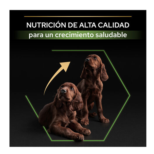 Pro Plan Puppy Large Athletic Pollo pienso para Cachorros, , large image number null