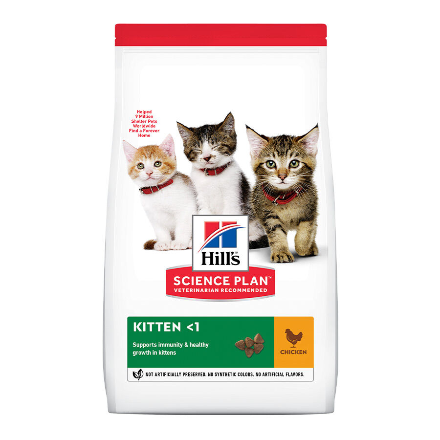 Hill&#039;s Science Plan Kitten Pollo pienso para gatos