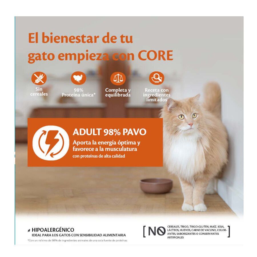 Wellness Core Adult Single Protein Ternera tarrina para gatos thumbnail