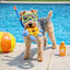 Summer Vibes Peluche Flotante Tortuga Juguete para perros, , large indicador imagen numero 1