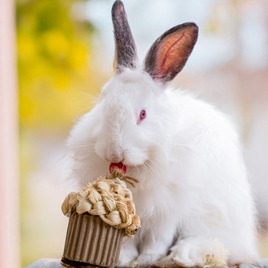 Quapas Cupcake Juguete para roedores, , large Imagen numero 2