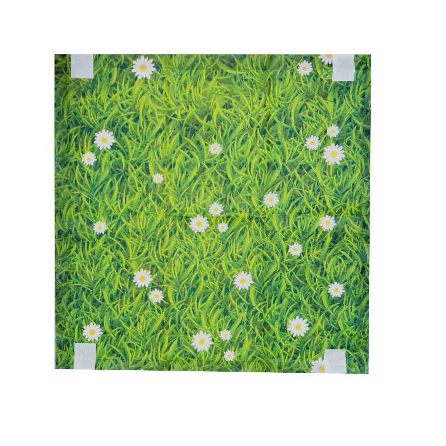 Nice Care Empapadores Pasto para perros, , large Imagen numero 2