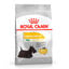 8 kg Royal Canin Dermacomfort Mini pienso para perros, , large indicador imagen numero 1