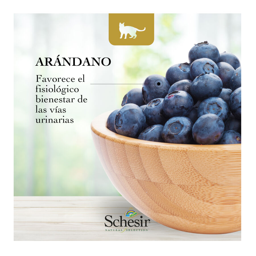 1.4 kg Schesir Adult Natural Selection Pollo pienso para gatos, , large Imagen numero 5