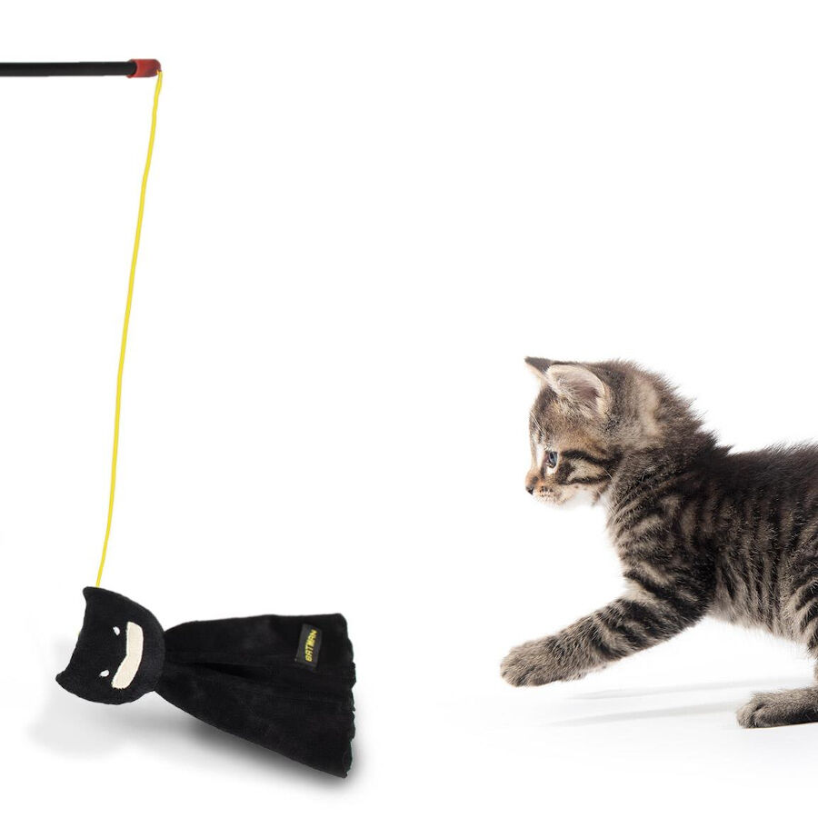 DC Comics Batman ca&ntilde;a para gatos, , large Imagen numero 5