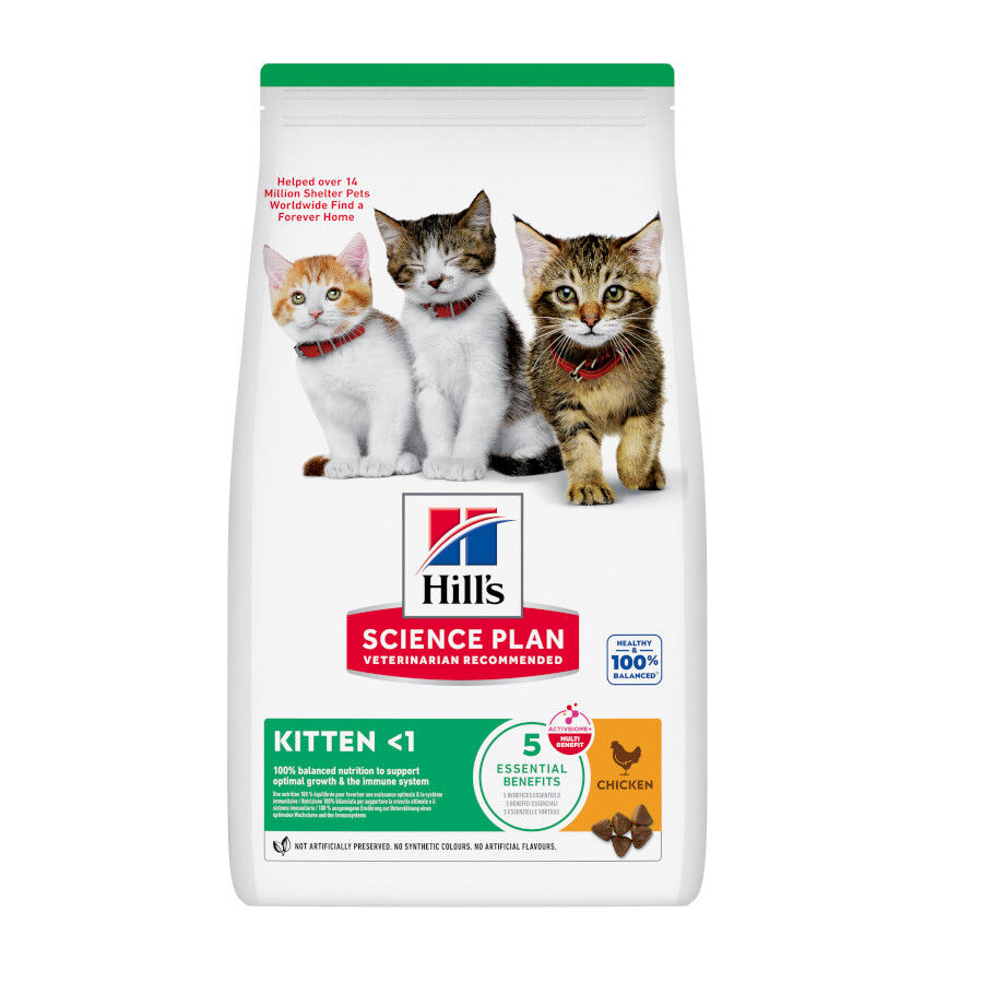 1.5 kg Hill's Science Plan Kitten Pollo pienso para gatos, , large Imagen numero 1