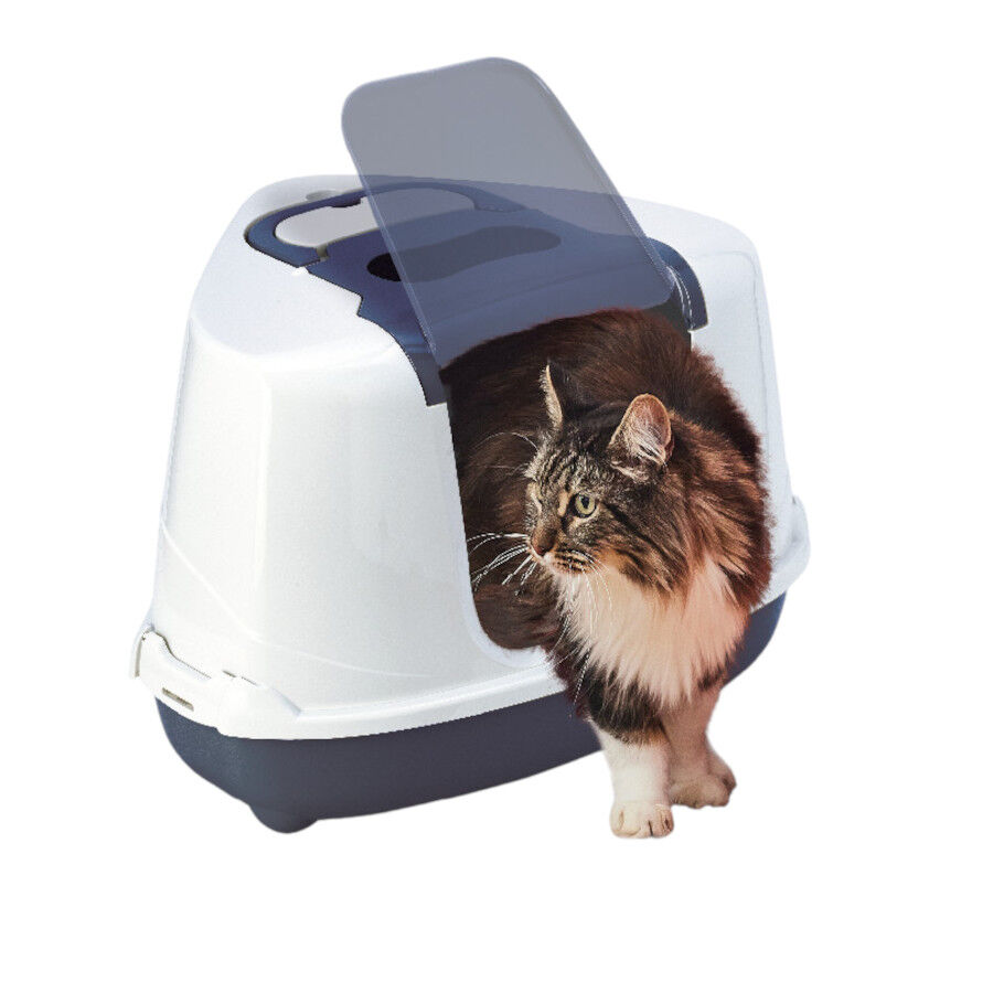 Nice Care Arenero Flip Corner Azul para Gatos