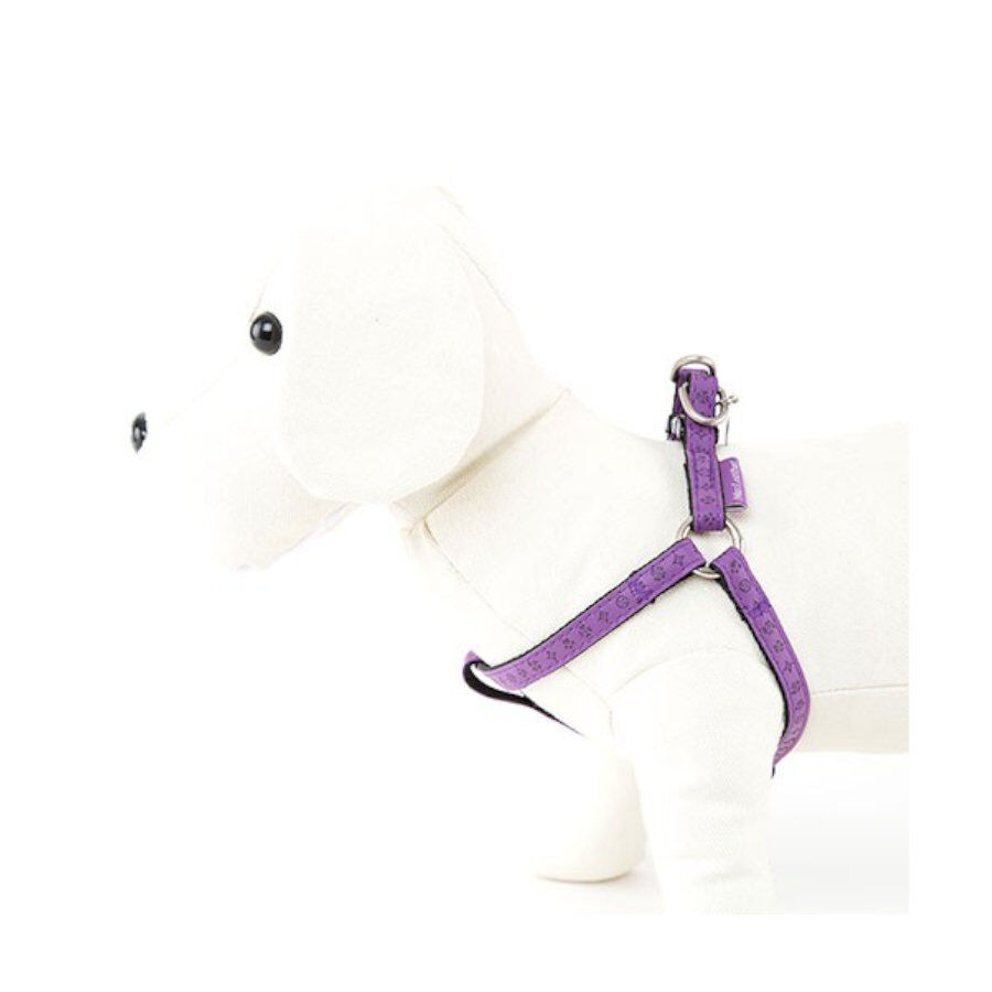 MacLeather Classic Arn&eacute;s Lila para perros, , large Imagen numero 1