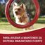 Purina One Mini Adult pollo y cordero sobres para perros , , large indicador imagen numero 2