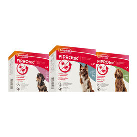Beaphar FiproTec Pipetas para perros