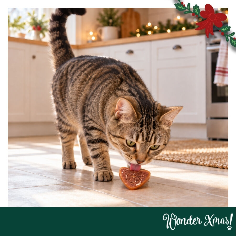 1 bolsita Wonder Christmas Corazones Pollo Snacks para gatos, , large Imagen numero 2