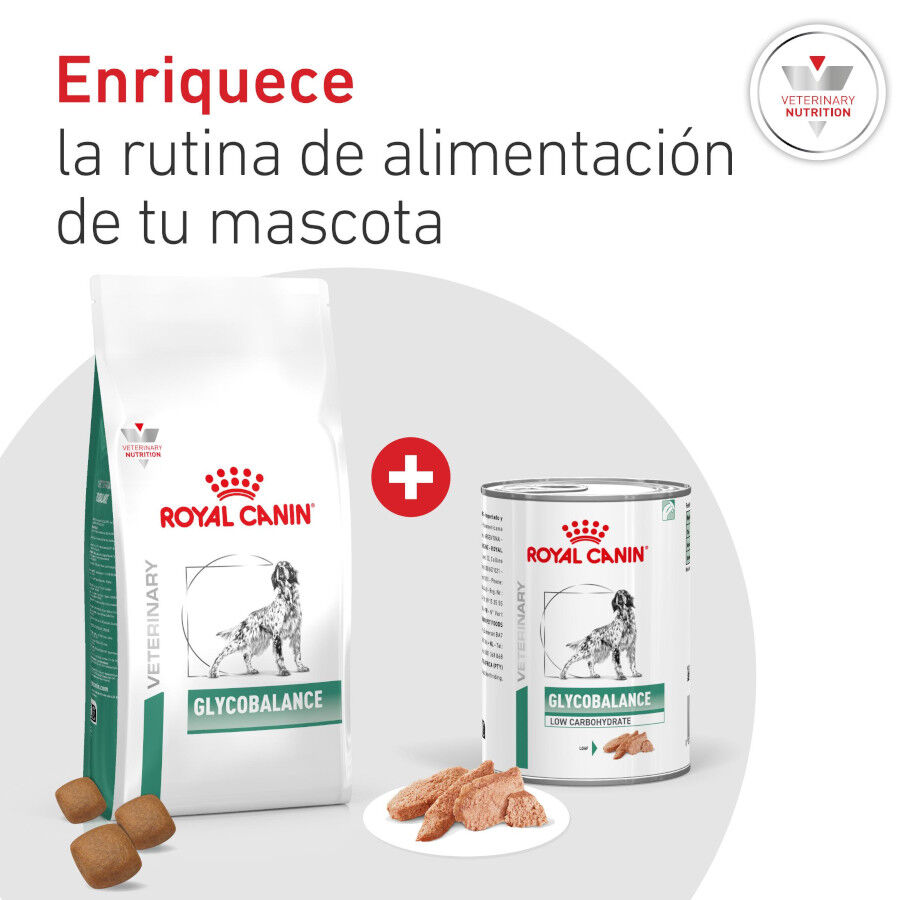 1.5 kg Royal Canin Veterinary Diabetic pienso para perros, , large Imagen numero 9