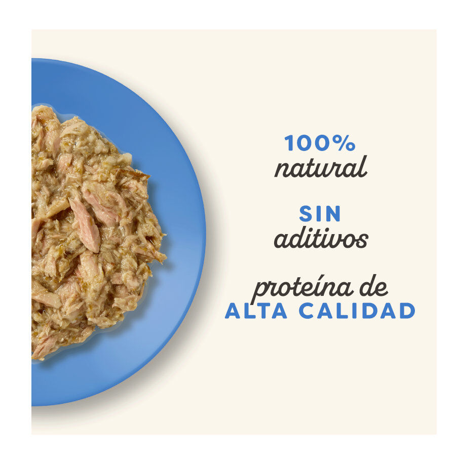 12 sobres x 70 g Applaws Selecci&oacute;n de Pescado sobre para gatos - Multipack, , large Imagen numero 2
