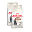2 x 2 kg Royal Canin Ageing 12+ Sterilised pienso para gatos ¡Pack ahorro!, , large indicador imagen numero 1