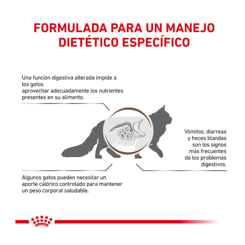 Royal Canin Veterinary Gastrointestinal Moderate Calorie pienso para gatos thumbnail
