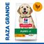 14.5 kg Hill's Science Plan Puppy large Pollo pienso para perros, , large indicador imagen numero 2