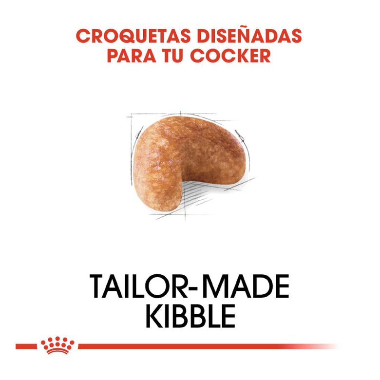 Royal Canin Adult Cocker pienso para perros thumbnail