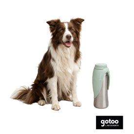 Gotoo Botella Bebedero Port&aacute;til de Acero Inoxidable Verde para perros