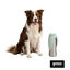 Gotoo Botella Bebedero Port&aacute;til de Acero Inoxidable Verde para perros, , large indicador imagen numero 7