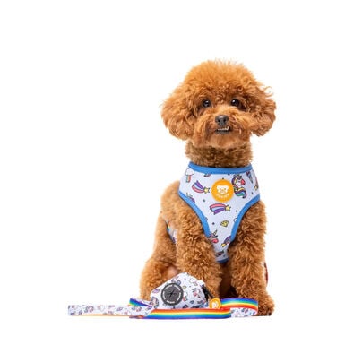 Dukier Unicorns Correa para perros
