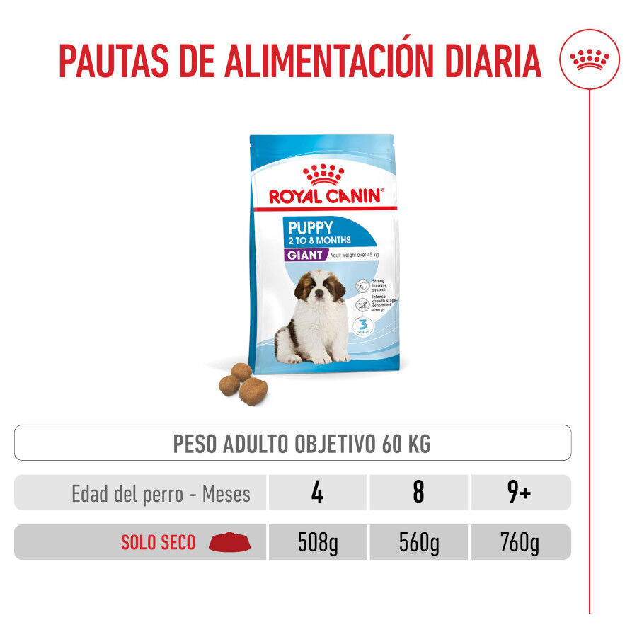 Royal Canin Puppy Giant pienso para perros thumbnail
