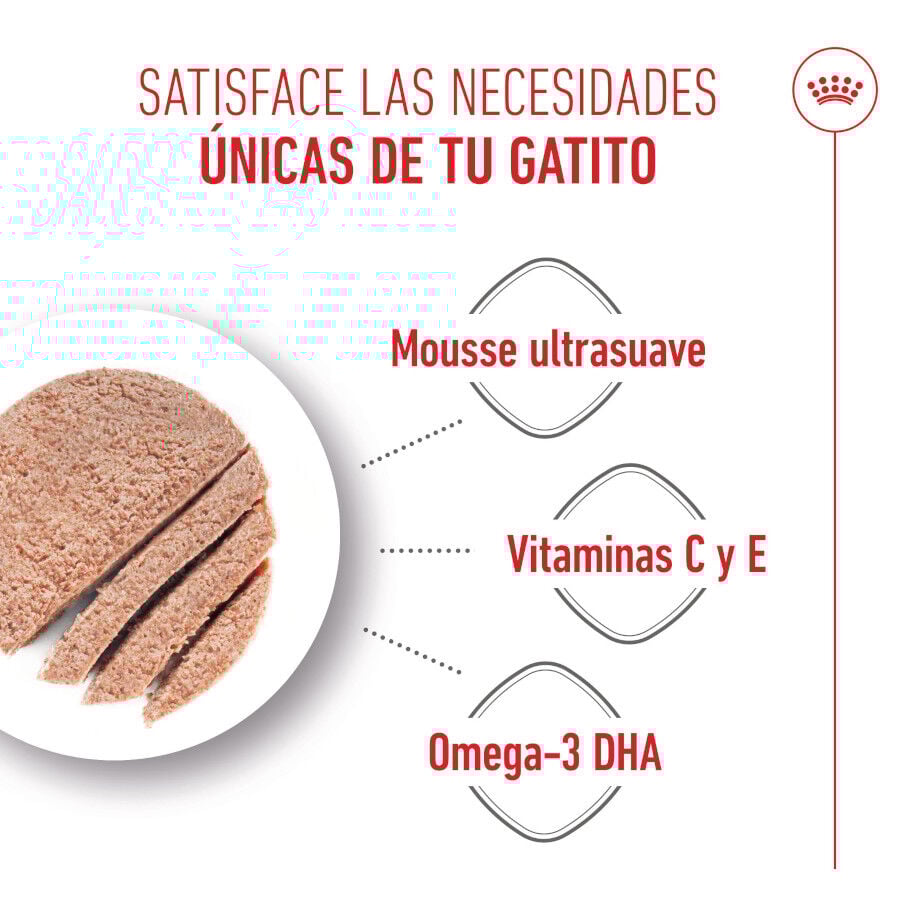 Royal Canin Mother &amp; Baby mousse latas para gatos thumbnail