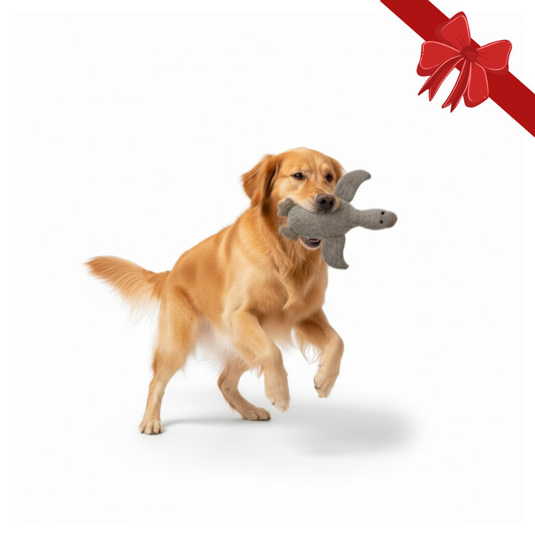 Wonder Christmas Peluche Pato Navideño para perros,  Imagen numero 1 Wonder Christmas Peluche Pato Navideño para perros, , large Imagen numero 1