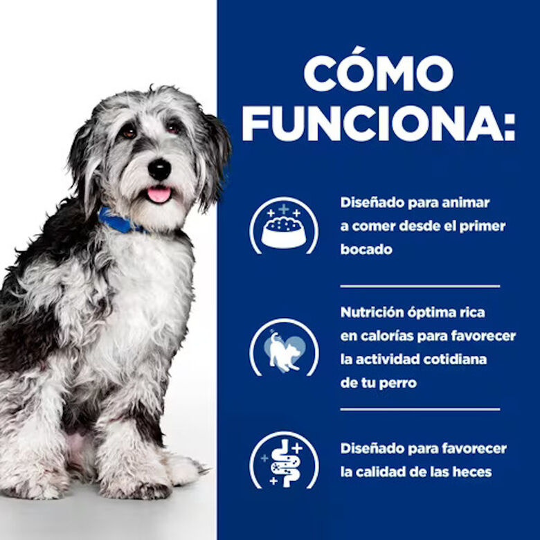 Hill&#039;s Prescription Diet ON-Care Estofado de Pollo y Vegetales lata para perros thumbnail