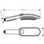 Hansgrohe Alcachofa de Ducha Rosa para perros, , large indicador imagen numero 3