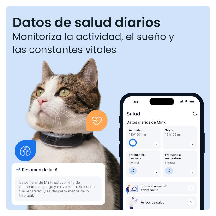 Tractive Cat 6 Mini Negro GPS para gatos, , large Imagen numero 5