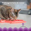 Outward Hound Catstages Fishie Fun Pez de Juguete Dispensador de Comida para gatos, , large indicador imagen numero 4