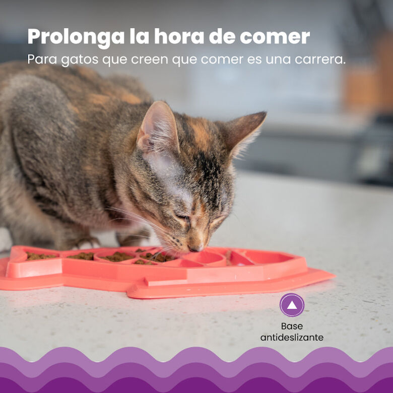 Catstages Fishie Fun Pez de Juguete Dispensador de Comida para gatos thumbnail