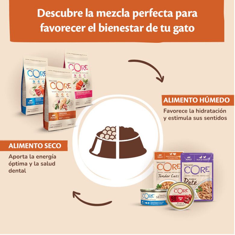 Wellness Core Tender Cuts Pollo y Pato sobre en salsa para gatos thumbnail