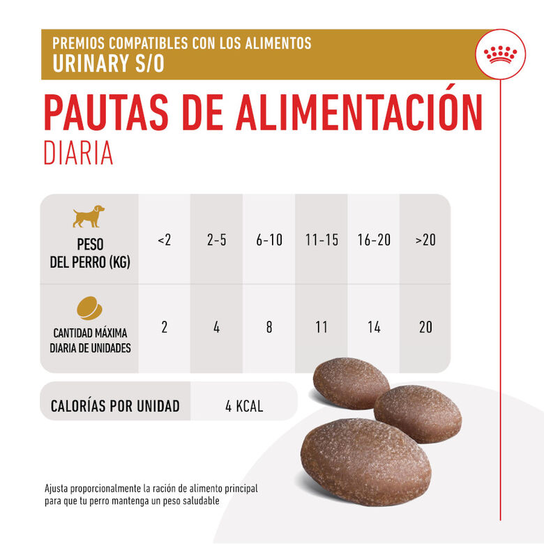 Royal Canin Treats Urinary Snacks para perros thumbnail