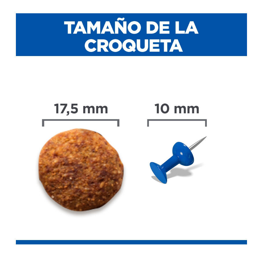 12 kg Hill's Science Plan Perfect weight y Active Mobility pollo pienso para perros grandes, , large Imagen numero 4