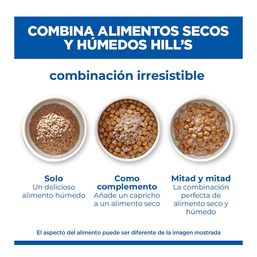 48 latas x 370 g Hill's Science Plan Adult 1-6 Pollo, Pavo y Ternera lata para perros &iexcl;Pack ahorro!, , large Imagen numero 5