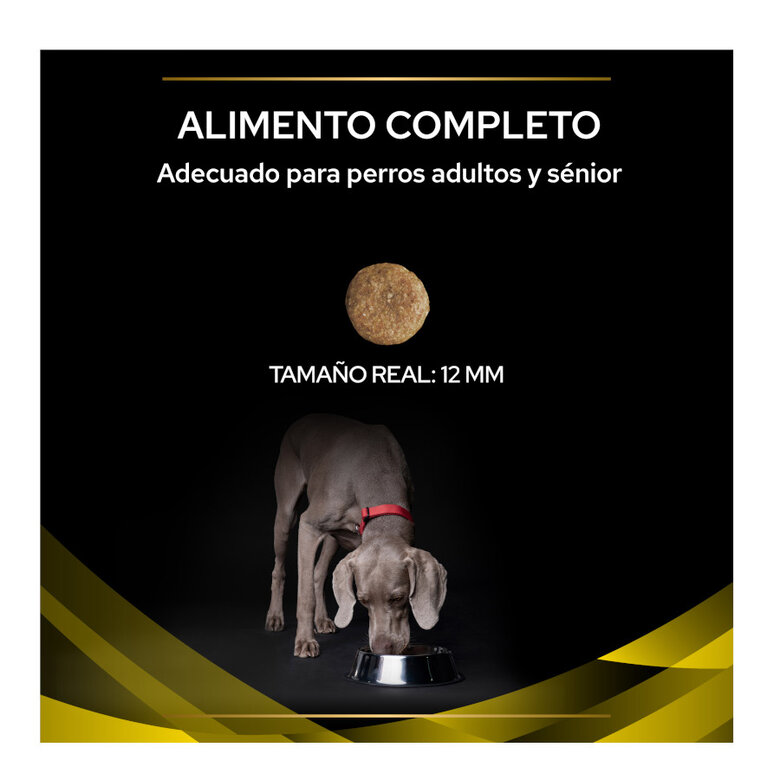 12 kg Pro Plan Veterinary Diets NC Neurocare pienso para perros,  Imagen numero 3 12 kg Pro Plan Veterinary Diets NC Neurocare pienso para perros, , large Imagen numero 3