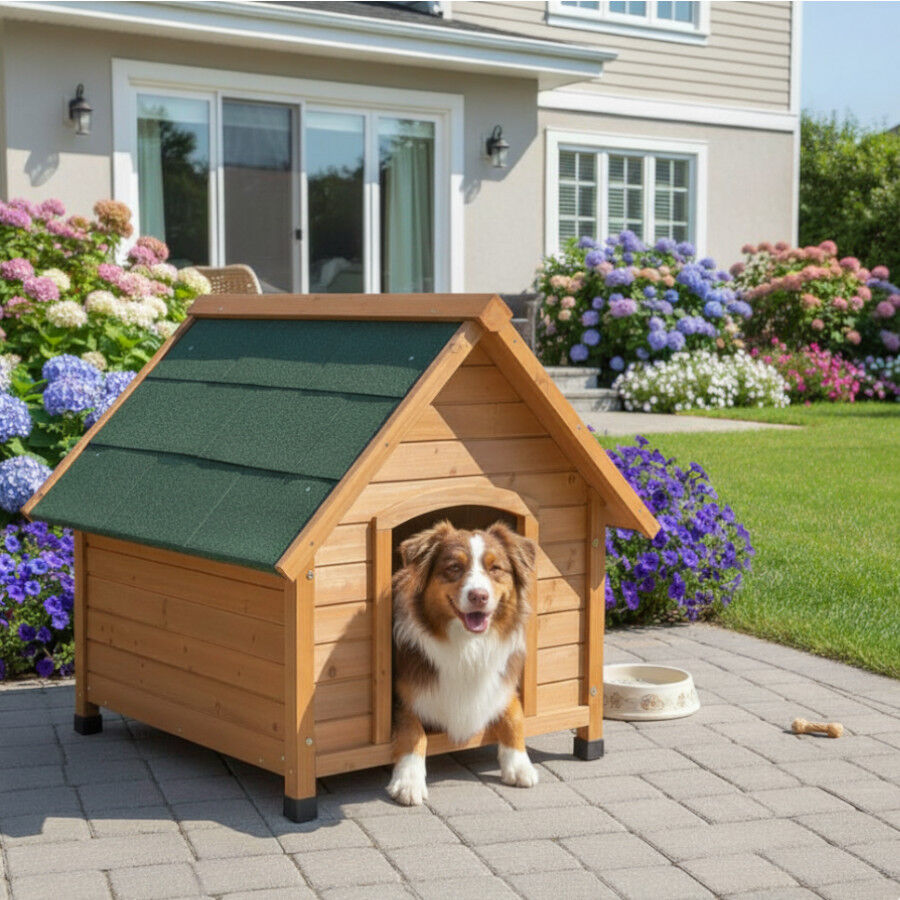 Tk-Pet Makalu Caseta para perros