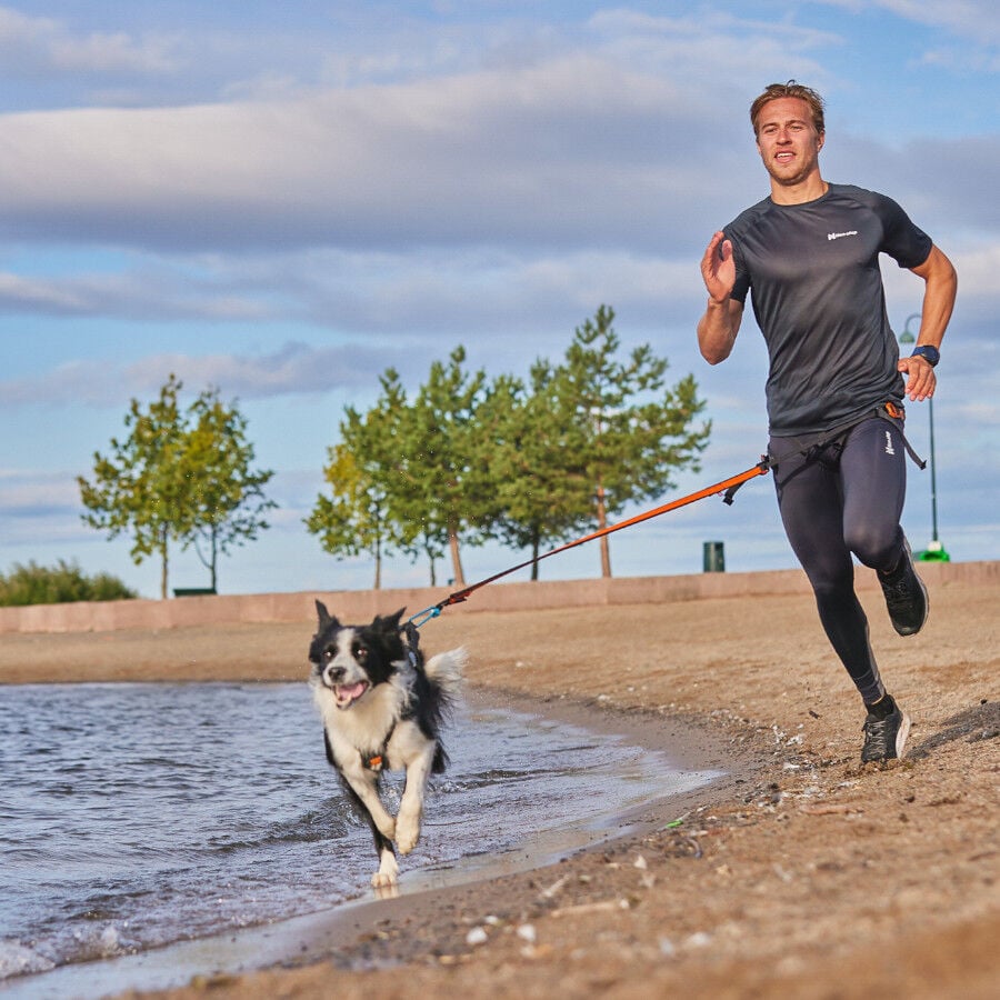 Non-stop dogwear Bungee Correa Elástica Negra y Naranja para perros thumbnail