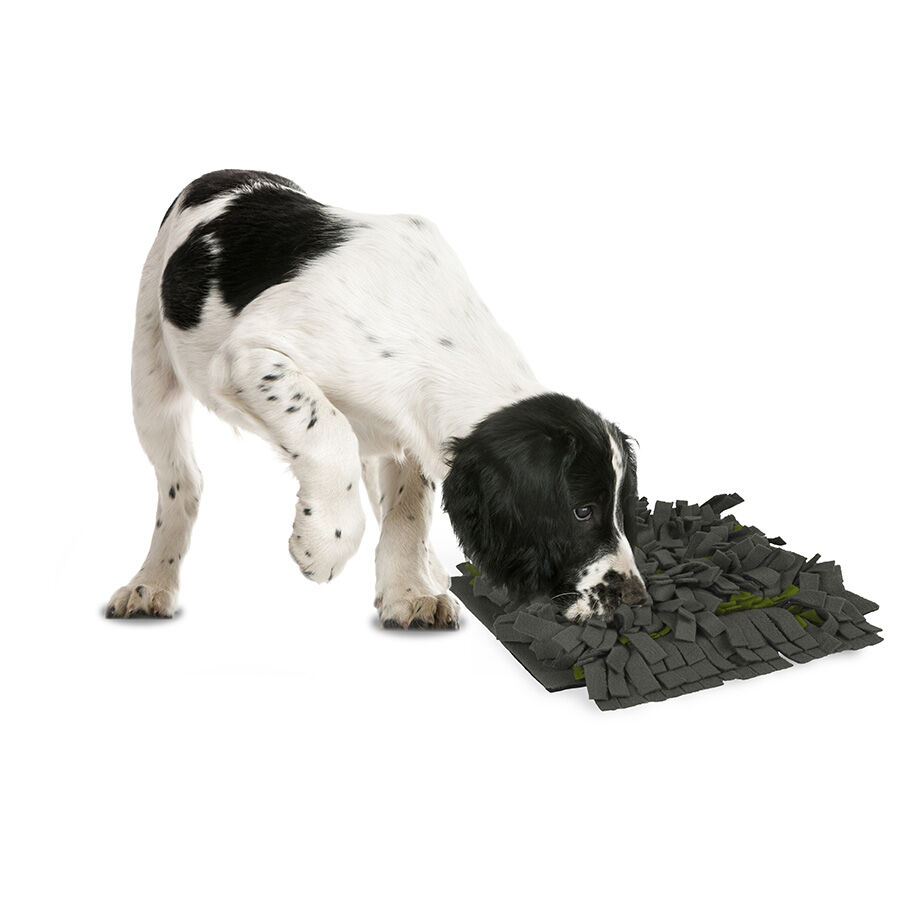 Flamingo Alfombra Olfativa para perros thumbnail