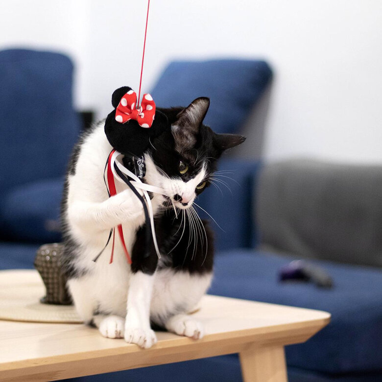 Disney Minnie Mouse caña para gatos,  Imagen numero 4 Disney Minnie Mouse caña para gatos, , large Imagen numero 4