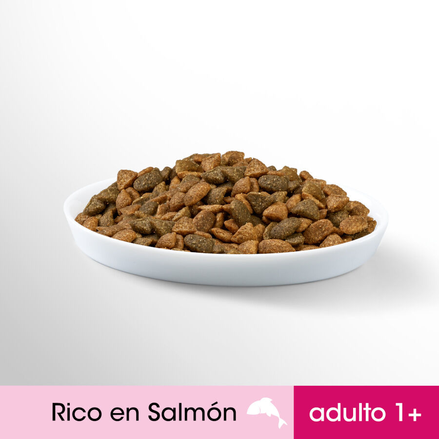 1.4 kg Perfect Fit Adult 1+ Esterilizado Salm&oacute;n pienso para gatos, , large Imagen numero 3